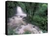 Cascade and Cloud Rainforest, Machu Picchu, Peru-Andres Morya-Stretched Canvas