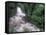 Cascade and Cloud Rainforest, Machu Picchu, Peru-Andres Morya-Framed Stretched Canvas