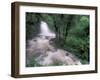 Cascade and Cloud Rainforest, Machu Picchu, Peru-Andres Morya-Framed Premium Photographic Print