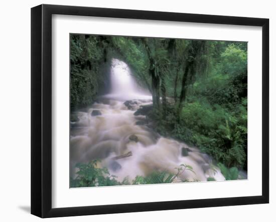 Cascade and Cloud Rainforest, Machu Picchu, Peru-Andres Morya-Framed Premium Photographic Print