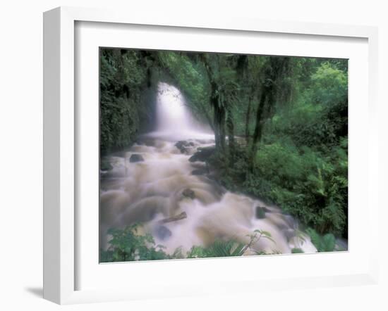 Cascade and Cloud Rainforest, Machu Picchu, Peru-Andres Morya-Framed Premium Photographic Print