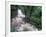 Cascade and Cloud Rainforest, Machu Picchu, Peru-Andres Morya-Framed Photographic Print