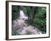 Cascade and Cloud Rainforest, Machu Picchu, Peru-Andres Morya-Framed Photographic Print