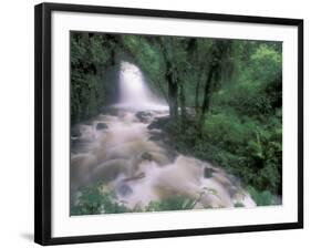 Cascade and Cloud Rainforest, Machu Picchu, Peru-Andres Morya-Framed Photographic Print