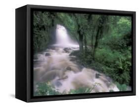 Cascade and Cloud Rainforest, Machu Picchu, Peru-Andres Morya-Framed Stretched Canvas