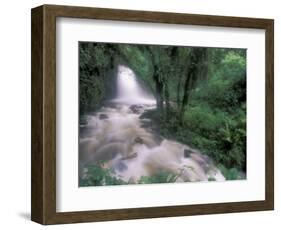 Cascade and Cloud Rainforest, Machu Picchu, Peru-Andres Morya-Framed Photographic Print