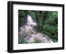 Cascade and Cloud Rainforest, Machu Picchu, Peru-Andres Morya-Framed Photographic Print