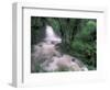 Cascade and Cloud Rainforest, Machu Picchu, Peru-Andres Morya-Framed Photographic Print