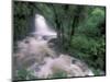 Cascade and Cloud Rainforest, Machu Picchu, Peru-Andres Morya-Mounted Photographic Print