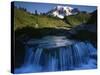 Cascade below Mt. Rainier, Mt. Rainier National Park, Washington, USA-Charles Gurche-Stretched Canvas