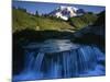 Cascade below Mt. Rainier, Mt. Rainier National Park, Washington, USA-Charles Gurche-Mounted Photographic Print