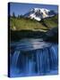 Cascade below Mt. Rainier, Mt. Rainier National Park, Washington, USA-Charles Gurche-Stretched Canvas
