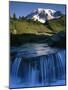 Cascade below Mt. Rainier, Mt. Rainier National Park, Washington, USA-Charles Gurche-Mounted Photographic Print