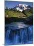 Cascade below Mt. Rainier, Mt. Rainier National Park, Washington, USA-Charles Gurche-Mounted Photographic Print