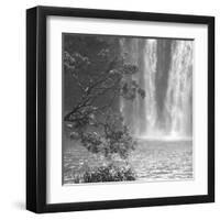 Cascade Calm-Tony Koukos-Framed Giclee Print