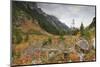 Cascade Canyon in Autumn (Fall), Grand Teton National Park, Wyoming, Usa-Eleanor Scriven-Mounted Photographic Print