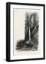 Cascade D'Enfer, the Pyrenees, France, 19th Century-null-Framed Giclee Print