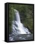 Cascade Falls, Jefferson National Forest, Virginia, USA-Charles Gurche-Framed Stretched Canvas