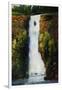 Cascade Falls-Tim O'toole-Framed Giclee Print