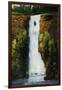 Cascade Falls-Tim O'toole-Framed Giclee Print