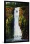 Cascade Falls-Tim O'toole-Framed Giclee Print