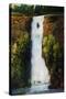 Cascade Falls-Tim O'toole-Stretched Canvas