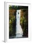 Cascade Falls-Tim O'toole-Framed Giclee Print