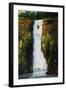 Cascade Falls-Tim O'toole-Framed Giclee Print