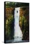 Cascade Falls-Tim O'toole-Framed Stretched Canvas