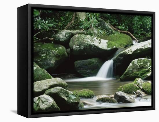 Cascade, Great Smoky Mountains National Park, Unesco World Heritage Site, Tennessee, USA-James Hager-Framed Stretched Canvas