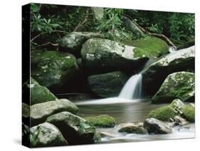 Cascade, Great Smoky Mountains National Park, Unesco World Heritage Site, Tennessee, USA-James Hager-Stretched Canvas
