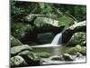Cascade, Great Smoky Mountains National Park, Unesco World Heritage Site, Tennessee, USA-James Hager-Mounted Photographic Print