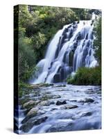 Cascade, Karangahake Gorge, North Island, New Zealand-Charles Gurche-Stretched Canvas