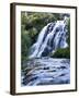 Cascade, Karangahake Gorge, North Island, New Zealand-Charles Gurche-Framed Premium Photographic Print