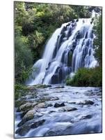 Cascade, Karangahake Gorge, North Island, New Zealand-Charles Gurche-Mounted Premium Photographic Print