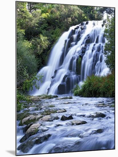 Cascade, Karangahake Gorge, North Island, New Zealand-Charles Gurche-Mounted Premium Photographic Print