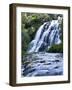 Cascade, Karangahake Gorge, North Island, New Zealand-Charles Gurche-Framed Photographic Print