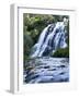 Cascade, Karangahake Gorge, North Island, New Zealand-Charles Gurche-Framed Photographic Print