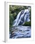 Cascade, Karangahake Gorge, North Island, New Zealand-Charles Gurche-Framed Photographic Print