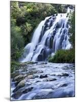 Cascade, Karangahake Gorge, North Island, New Zealand-Charles Gurche-Mounted Photographic Print