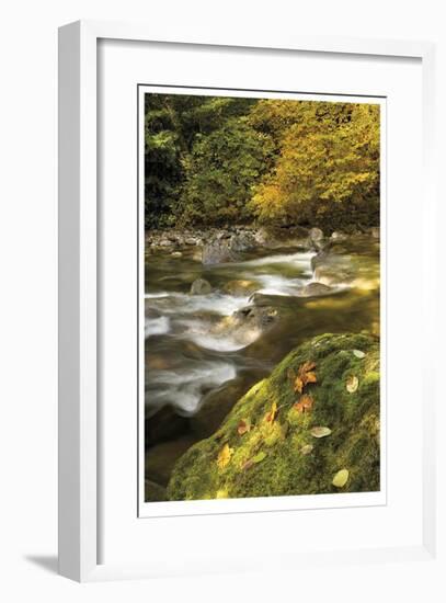 Cascade Mountains IV-Donald Paulson-Framed Giclee Print