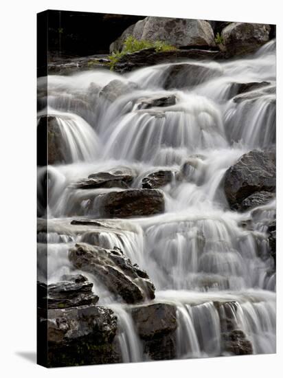 Cascade Near Logan Pass, Glacier National Park, Montana, USA-James Hager-Stretched Canvas