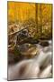 Cascade of Change-Mark Geistweite-Mounted Premium Photographic Print