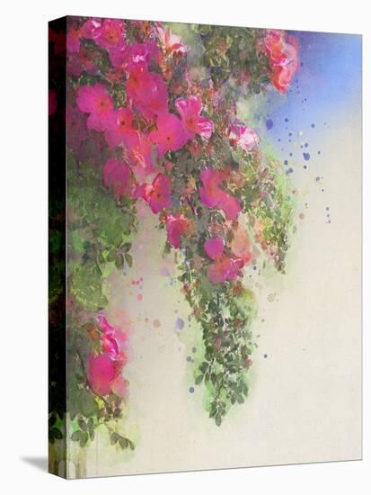 Cascade of Roses I-Chris Vest-Stretched Canvas