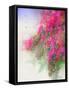 Cascade of Roses II-Chris Vest-Framed Stretched Canvas