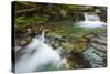 Cascade on Baring Creek, Glacier National Park, Montana, Usa-Russ Bishop-Stretched Canvas