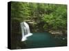 Cascade on Devil's Fork, Ozark-St Francis National Forest, Arkansas, USA-Charles Gurche-Stretched Canvas