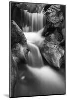 Cascade on Hare Creek, Limekiln State Park, Big Sur, California, Usa-Russ Bishop-Mounted Photographic Print