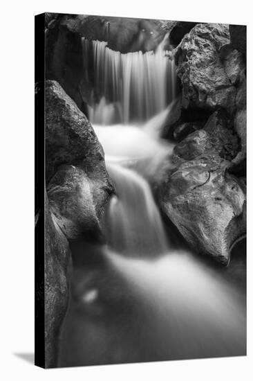 Cascade on Hare Creek, Limekiln State Park, Big Sur, California, Usa-Russ Bishop-Stretched Canvas