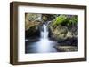 Cascade on Limekiln Creek, Limekiln State Park, Big Sur, California, Usa-Russ Bishop-Framed Photographic Print